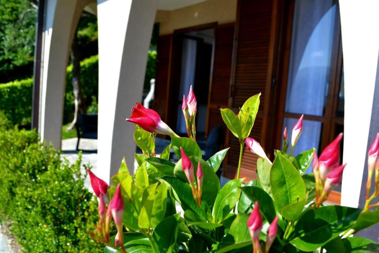 Le Grigne Guesthouse - The Garden Oliveto Lario Экстерьер фото